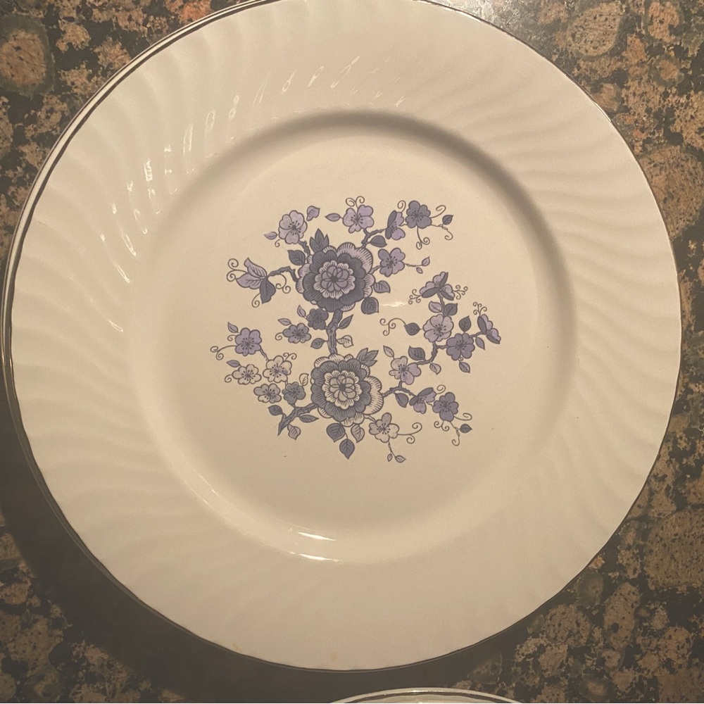 6 Dinner plates and 4 salad plates no chips no stains